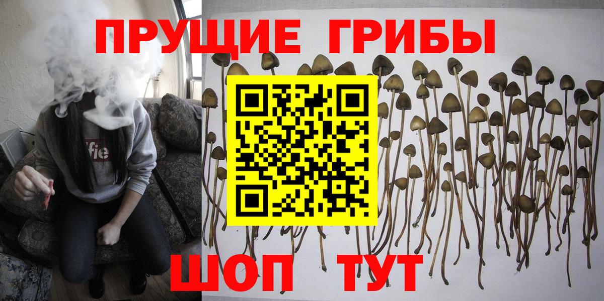 Псилоцибиновые грибы мухоморы  Псилоцибиновые грибы Cubensis  Урюпинск  Вход с VPN 