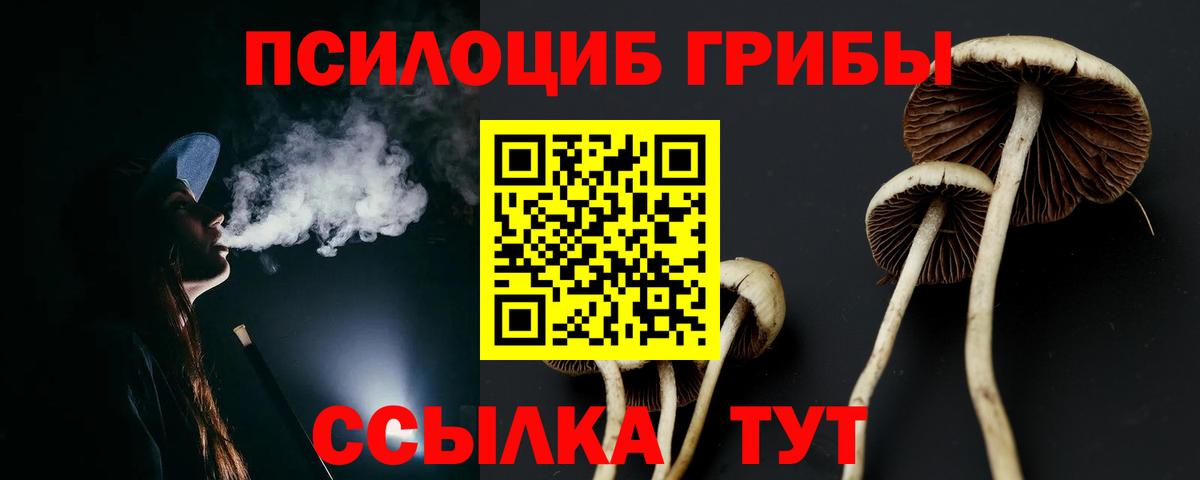 Псилоцибиновые грибы мицелий Урюпинск